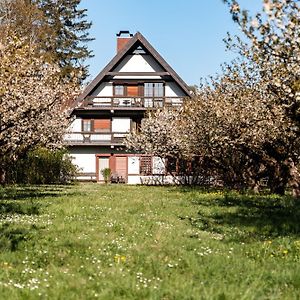 Gaestehaus Obsthof Gottenheim